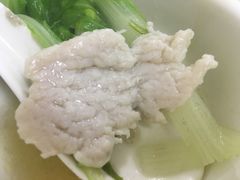 -金砂阿洲鱼册店