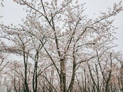 -龙美术馆(西岸馆)