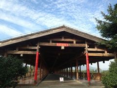 -福建鲤鱼洲酒店