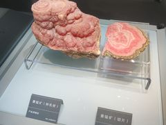 -安徽省地质博物馆