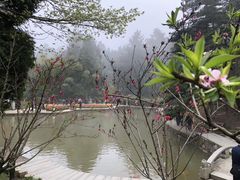 -庐山风景区花径公园