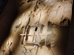 -洛阳周王城天子驾六博物馆