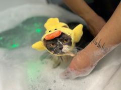 -FAELING PETS美天灵宠物(富力广场店)