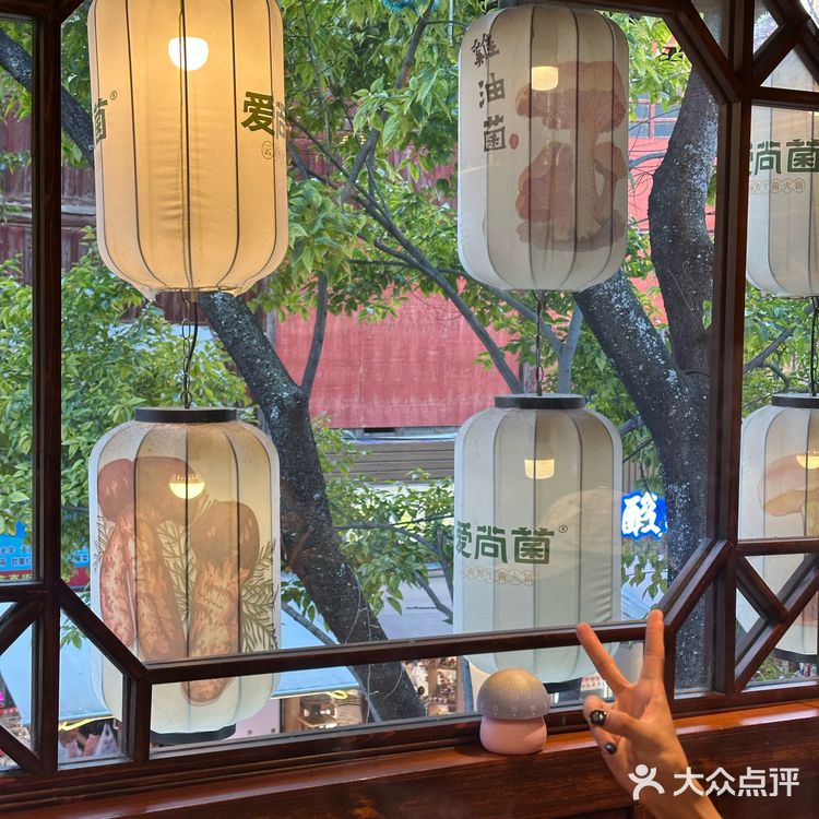 爱尚菌野生菌火锅超好吃