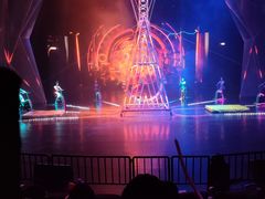 -重庆国际马戏城