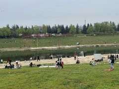 -洨河生态公园