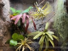 -中国湿地博物馆