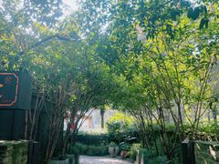 -野蔓果·山野菜(西湖景区·龙井茶田店)