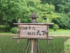 -沈阳植物园