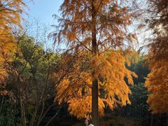-南山风景名胜区