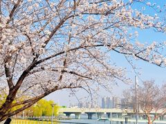 -蠡湖大桥公园