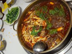 -乡土特色.冷锅鱼.牦牛肉火锅