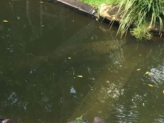 -可伦宾野生动物保护区