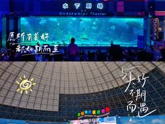 -泉城欧乐堡海洋极地世界