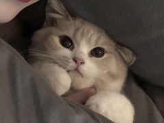 -必胜客(砂之船中东奥莱店)