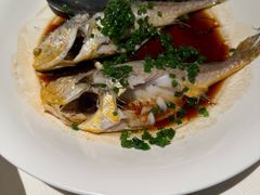 -三利音·玖弄小鲜(浦东嘉里城店)