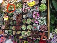 -无名缘米粉(双合店)