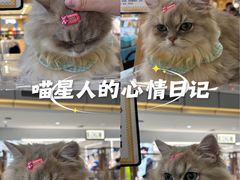 -汇德隆银隆