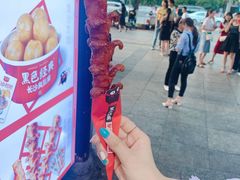 -黑色经典臭豆腐·湖南特产(坡子街店)