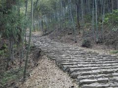 -仙霞关景区