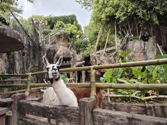 -长鹿旅游休博园