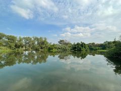 -西溪国家湿地公园