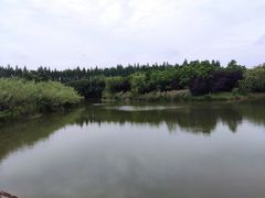 -南湖湿地公园
