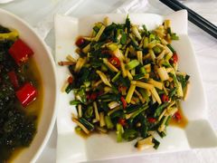 -明升萝卜汤