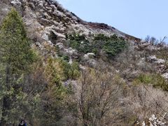 -北京鹫峰国家森林公园