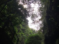 -福建天门山