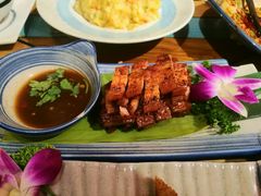 -紫滇源云南生态菜(丹凤街店)