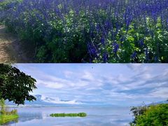 -大理洱海