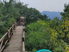 -大岭沟猕猴桃谷风景区