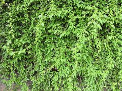 -回龙观体育文化公园