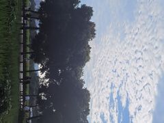 -蜀绣公园