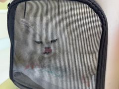 -达爱动物医院·犬猫分区·CT·复杂眼科(远洋山水分院)