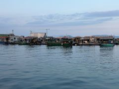 -蓝湾碧波·老字号·疍家非遗海上餐厅