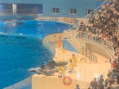 -泉城欧乐堡海洋极地世界