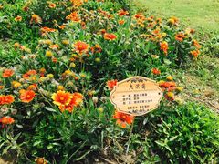 -江南大学(蠡湖校区)