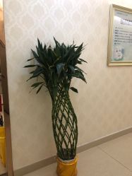 -海峡医疗美容医院