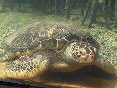 -苏州海洋馆