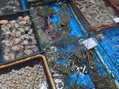 -船奇蒸汽海鲜·闽菜(八市海鲜总店)