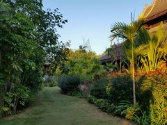 -西双版纳洲际度假酒店兰吧