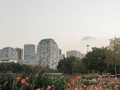 -欧立口腔(香雪店)