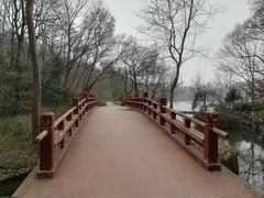 -紫霞湖公园