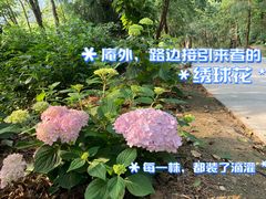 -寂照庵
