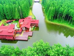 -黄海国家森林公园