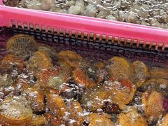 -众味海鲜大排档·活海鲜·潮汕味(南澳店)