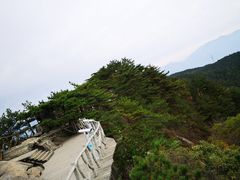 -罗田薄刀峰风景区