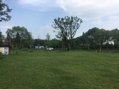 -鹅湖玫瑰文化园